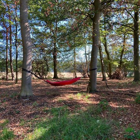 Zum Heuerling Ferienwohung Im Alten Stall Mit Sauna Versmold Εξωτερικό φωτογραφία