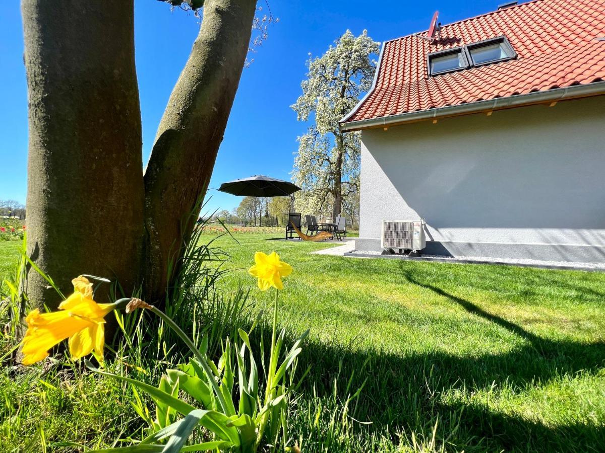 Zum Heuerling Ferienwohung Im Alten Stall Mit Sauna Versmold Εξωτερικό φωτογραφία